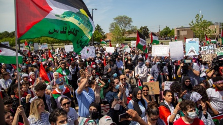 Demonstrata e qytetarëve palestinezë me sloganin 