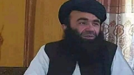 ترور رئیس علمای سلفی در کابل