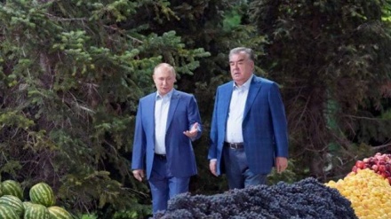 Tacikistoni prezident sarayədə bə Putini pişvoz şe.