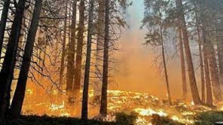 Emergenza incendi, la California è in fiamme