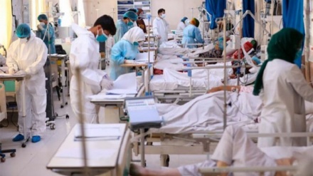 طالبان ۱۲ پزشک را در ولایت ننگرهار برکنار کردند