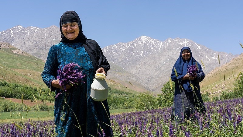 Kawasan lindung Oshtorankuh di kabupaten Azna, provinsi Lorestan, Iran.