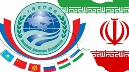 今年伊朗将正式成为上海合作组织的正式成员