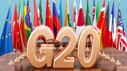 外媒：大部分G20峰会与会领导人拒绝乘坐印尼提供的电动汽车