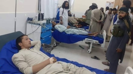 ننګرهار کښې د ماین چاودنې لس زده کونکي ژوبل کړل