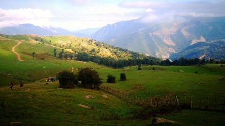 Tolışi Məryanədə de Tolşə elitəon iştiroki bo Tolışə Mədəniyyəti xandi kardero tədbir bərpo bıə