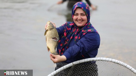 Frauen fischen in Babol