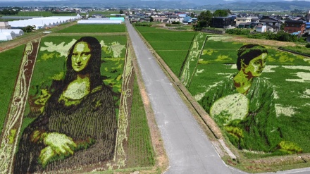 青森・田舎館村の「田んぼアート」；２つの世界的名画が再現