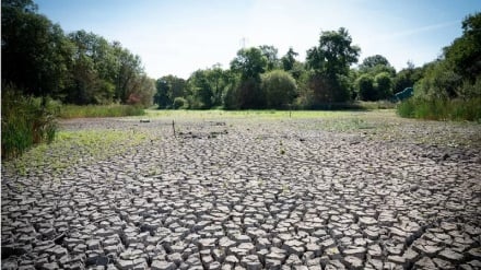 Ancora caldo in Europa, per Inghilterra e' allarme siccita'