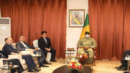 Амир-Абдуллахиан подчеркнул развитие сотрудничества с правительством Мали