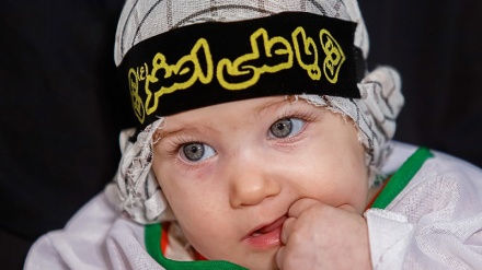 Həzrət Əli Əsğər(ə)-i şəhodəti həxədə hoci Muhsin Hamedi tolışə məddohi.