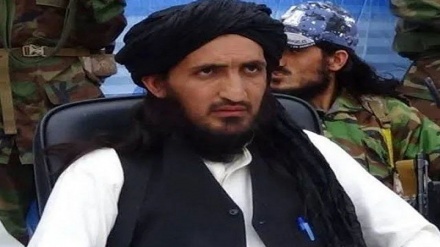 تحریک طالبان پاکستان کشته شدن «عمر خالد خراسانی» را تایید کرد