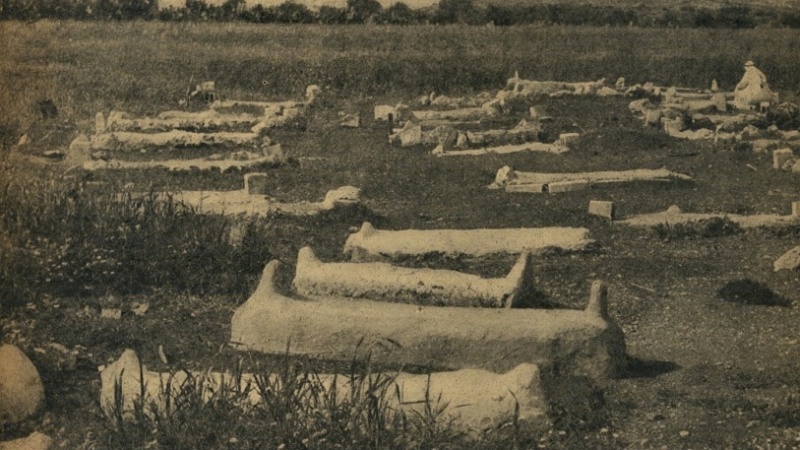 ארכיון הזוועות