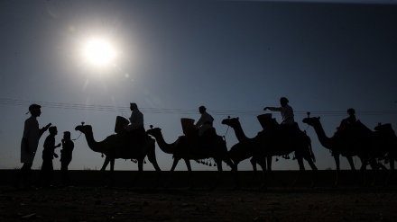 (FOTO) Cerimonia Kheimeh Koubi, vigilia Arbaein