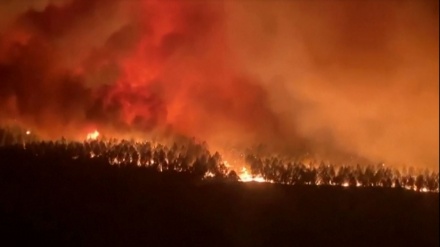Kebakaran, 6000 Hektar Hutan di Prancis Hangus