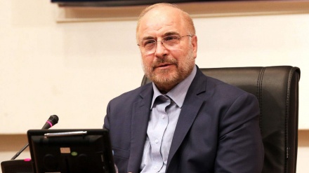 Калибаф: Палестинское сопротивление сионистскому режиму сокрушительно