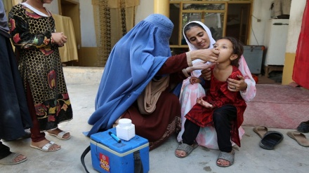 آمار فلج اطفال در افغانستان کاهش یافته است
