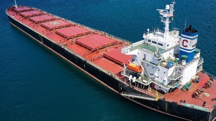 Rritet eksporti i drithërave nga Ukraina