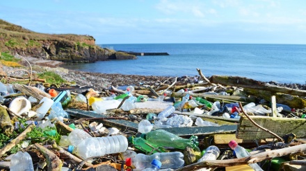 プラスチックごみによる太平洋汚染