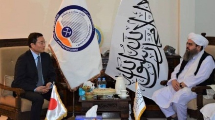 タリバン政権が、日本に対アフガン投資求める