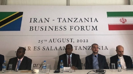 Amir-Abdollahian: Afrika ni moja ya vipaumbele vikuu vya diplomasia ya kiuchumi ya Iran