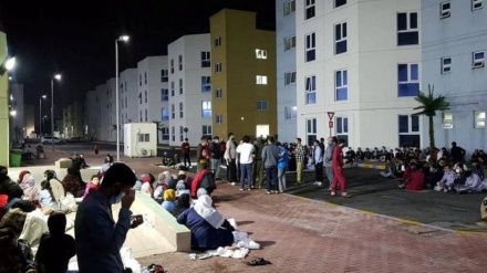 یک موسسه امدادی: پناهجویان افغان در ابوظبی به زودی از امارات انتقال می یابند
