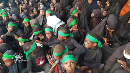 नाइजीरिया में अज़ादारों पर हमला, शेख ज़कज़की का भतीजा शहीद
