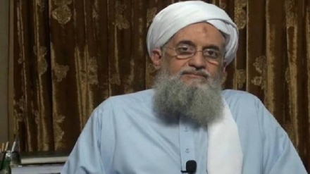 וושינגטון: חשש שחיסול מנהיג אל-קאעידה יביא לפגיעה באמריקנים