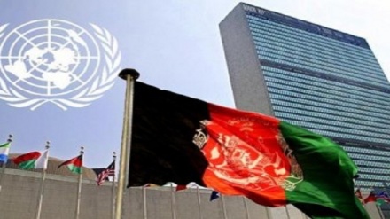 ارائه خدمات به بیش از دو میلیون شهروند افغان توسط سازمان ملل  