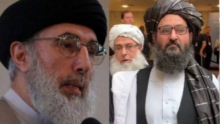 درخواست گلبدین حکمتیار از طالبان 