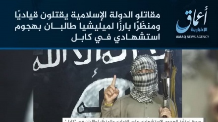 داعش مسوولیت حمله تروریستی به مدرسه دینی حقانی را برعهده گرفت