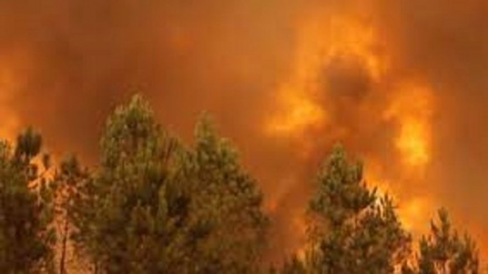 Il grande incendio nel sud della Francia 