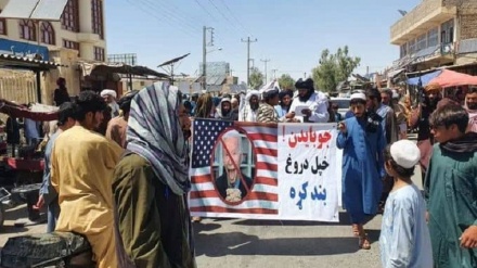 واکنش طالبان به حمله پهبادی آمریکا به کابل