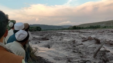 خسارات مالی ناشی از جاری شدن سیلاب در ولایت ننگرهار