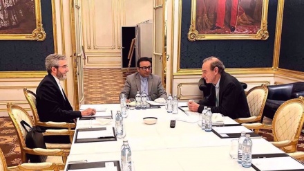 Rinisin në Vjenë bisedimet për heqjen e sanksioneve kundër Iranit