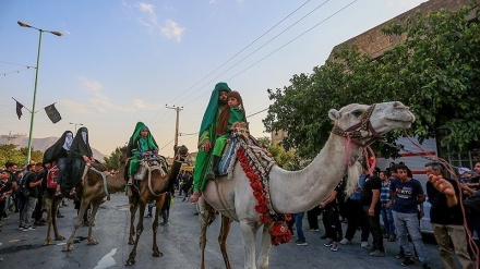 (FOTO) La carovana simbolica di Karbala - 1