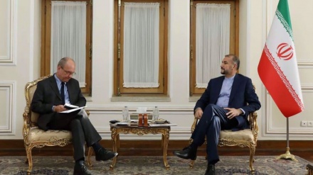 Iran FM urges Sweden to respect ‘basic rights’ of wrongfully-jailed national