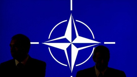 Ukraine formally applies for fast-track NATO membership