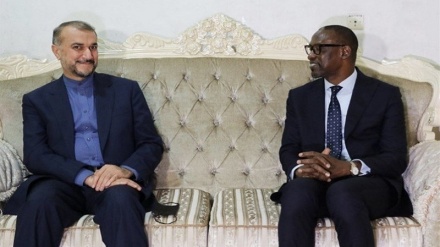 Iran has special plans for economic cooperation with Mali: FM