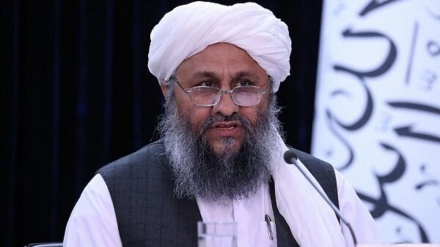 طالبان بیش از ۲۳ میلیون وب سایت را بست