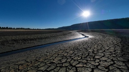 Il Cnr: 'Ad oggi il 2022 è l'anno più caldo di sempre'