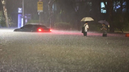 两名中国公民在韩国特大暴雨中遇难