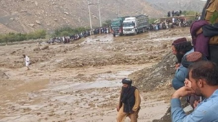 شمار تلفات سیل در افغانستان به بیش از 60 تن رسید