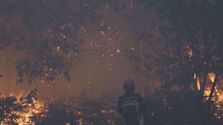 Francia, terribile incendio devasta boschi della Gironda: 3.800 evacuati