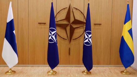French parliament backs accession of Sweden, Finland to NATO