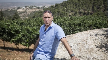 איילת שקד שוקלת להציב את 