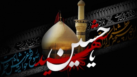 Imam Hussein (AS) in the eyes of Sunni thinkers (1)