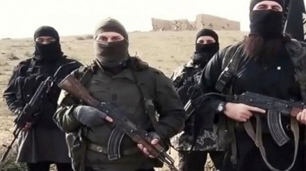 Pelaku Ledakan Bunuh Diri Daesh di Rusia Ditangkap