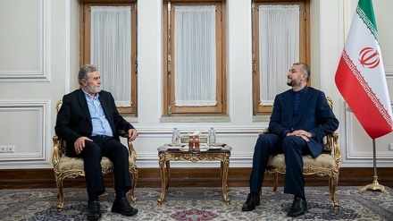 Amir Abdullahian: Rezistenca islame do të mbrojë të drejtat e kombeve të rajonit