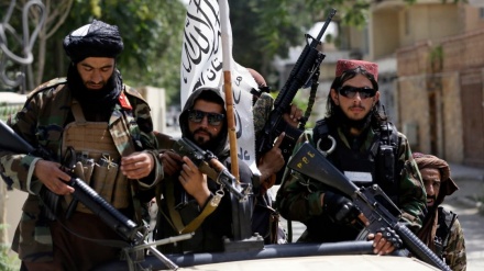 Толибон: АҚШнинг учувчисиз учоқларининг Афғонистондаги ҳужумлари такрорланмаслиги керак